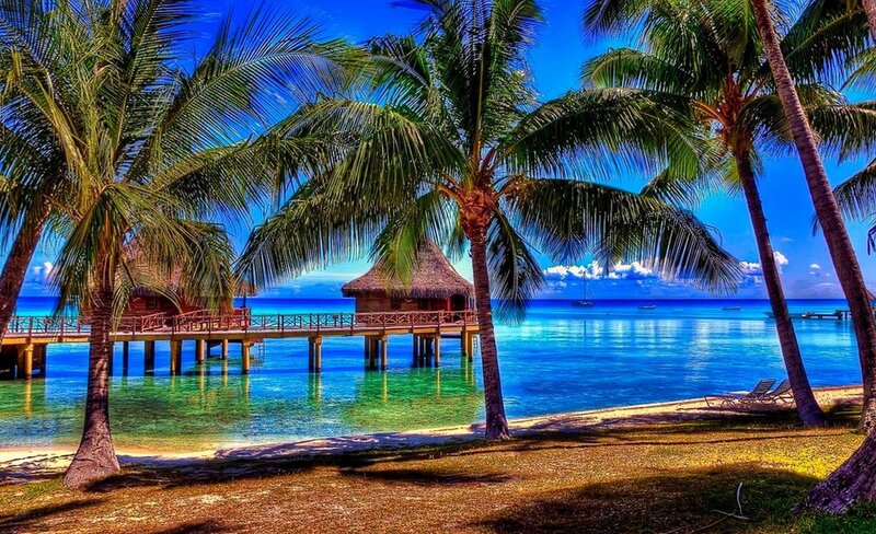 Tropical beach with overwater bungalows