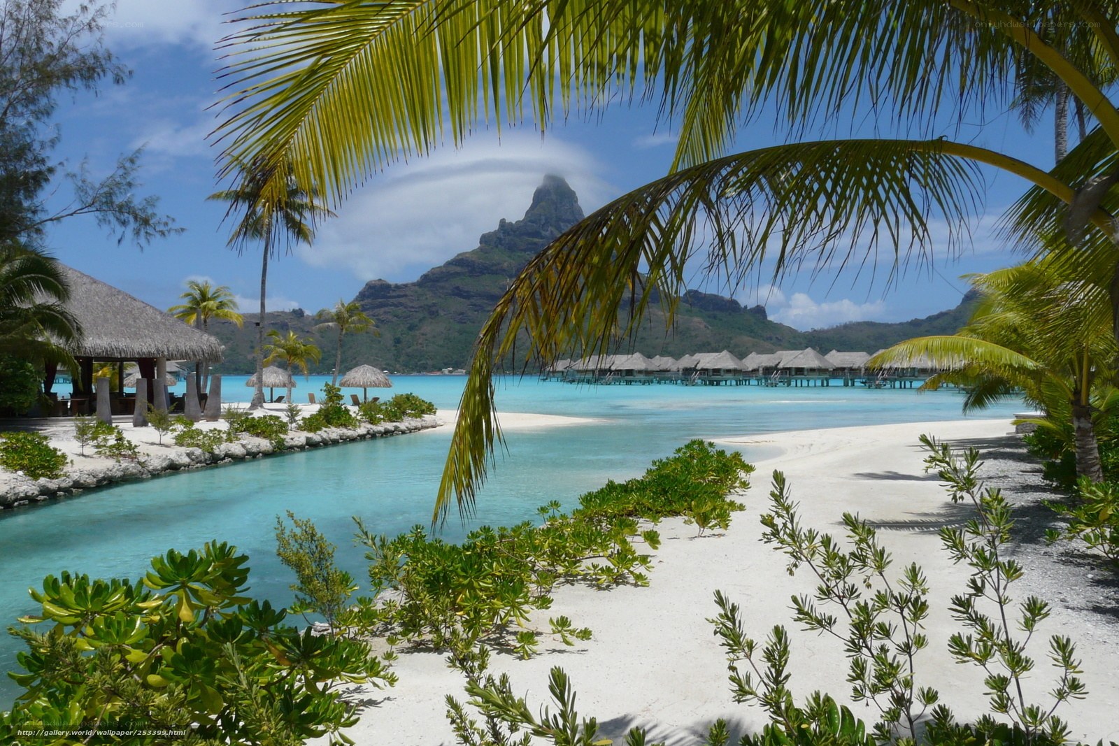 tropical beach with overwater bungalows