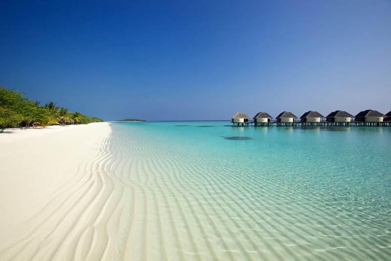 tropical beach with overwater bungalows
