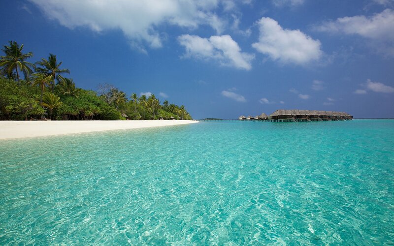 tropical beach with overwater bungalows