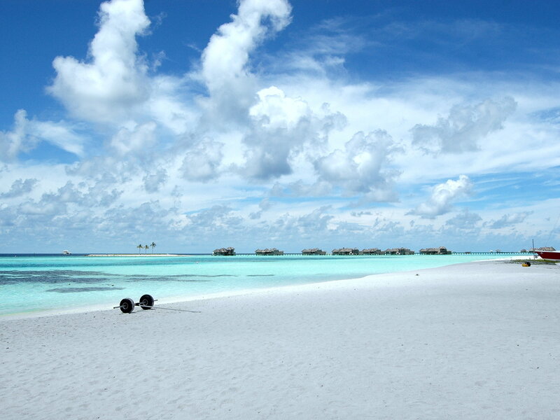 tropical beach with overwater bungalows
