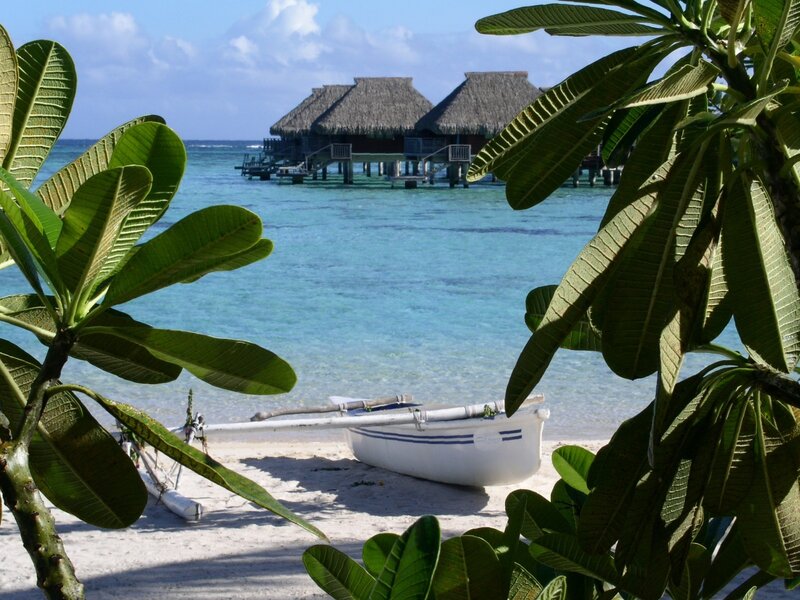tropical beach with overwater bungalows