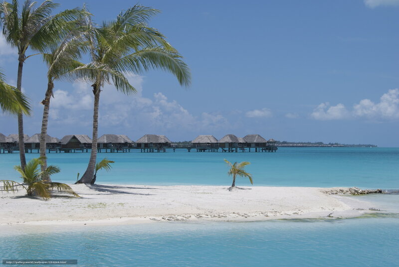 tropical beach with overwater bungalows