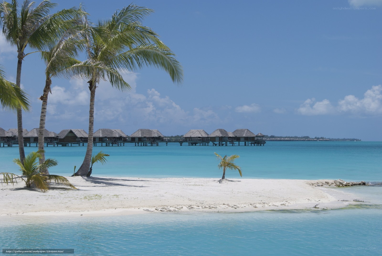 tropical beach with overwater bungalows