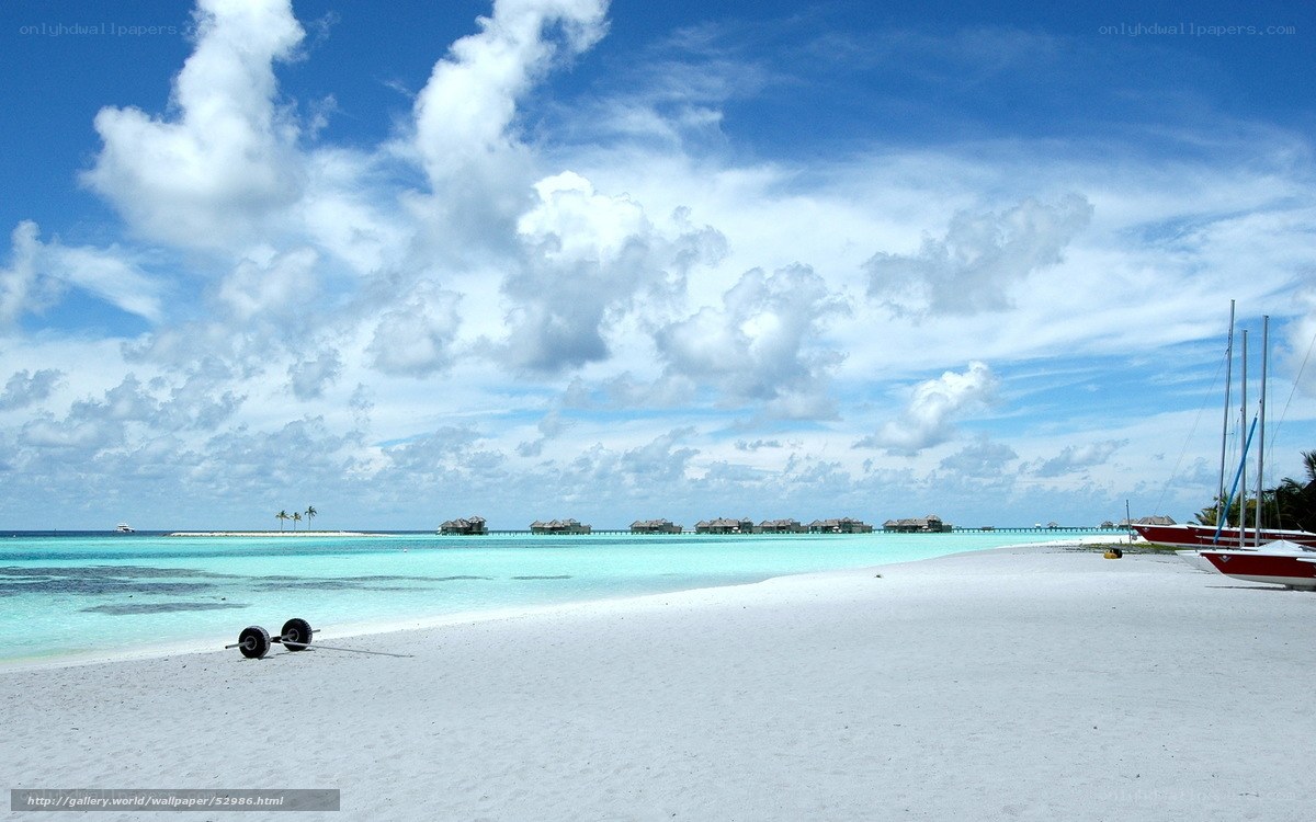 Tropical beach with overwater bungalows