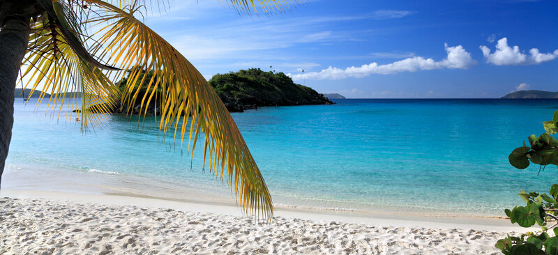 Tropical Beach with Palm Frond