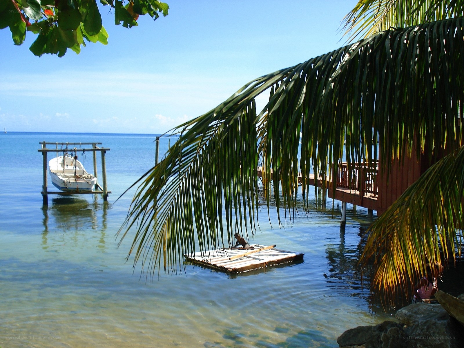 Tropical beach with palm fronds