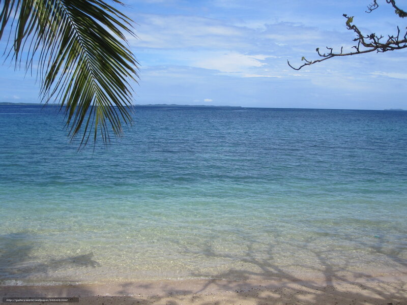 Tropical beach with palm fronds