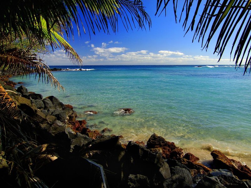 Tropical beach with palm fronds