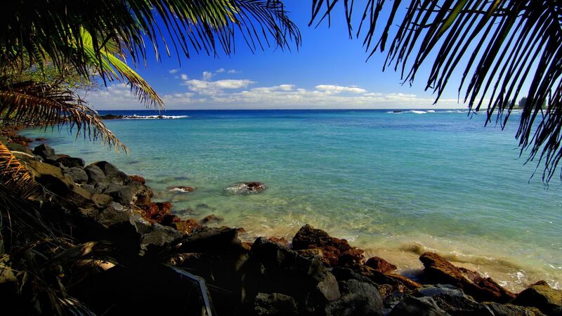 tropical beach with palm fronds