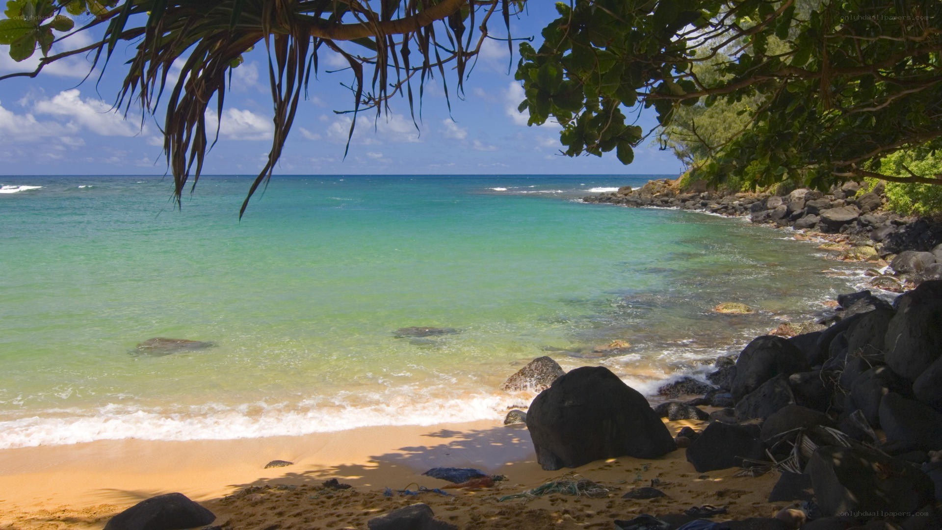 tropical beach with palm fronds