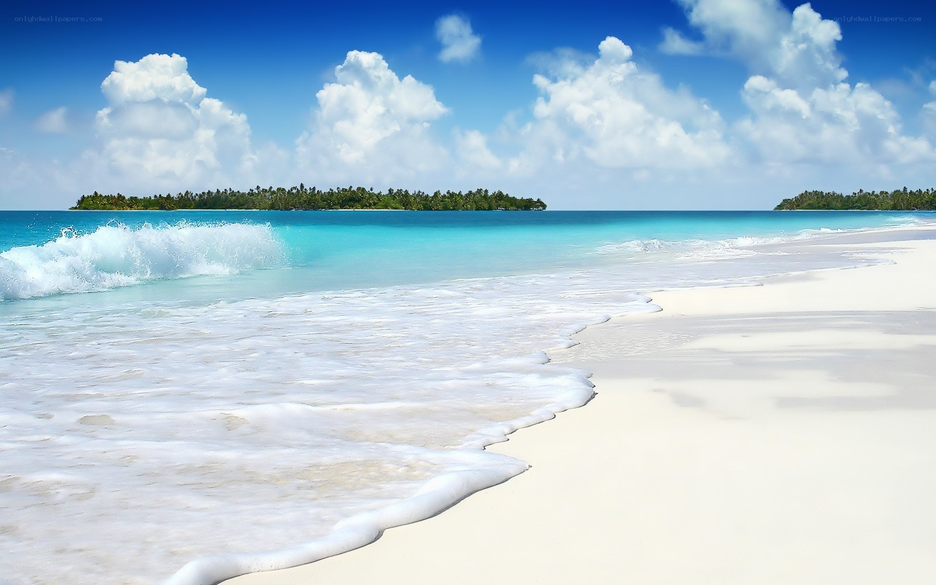 tropical beach with palm islands