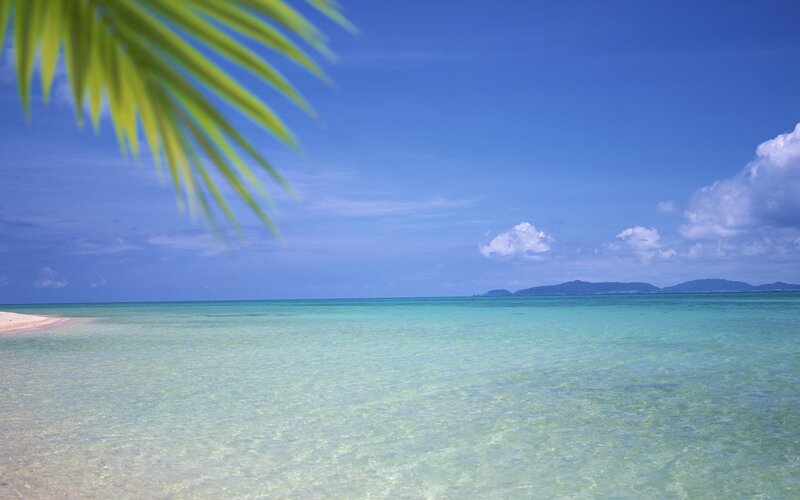 Tropical Beach with Palm Leaf — Blue