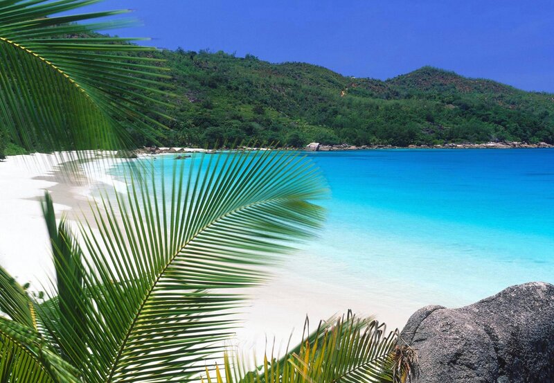 Tropical Beach with Palm Leaves — Blue
