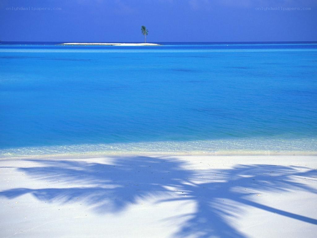 tropical beach with palm shadow