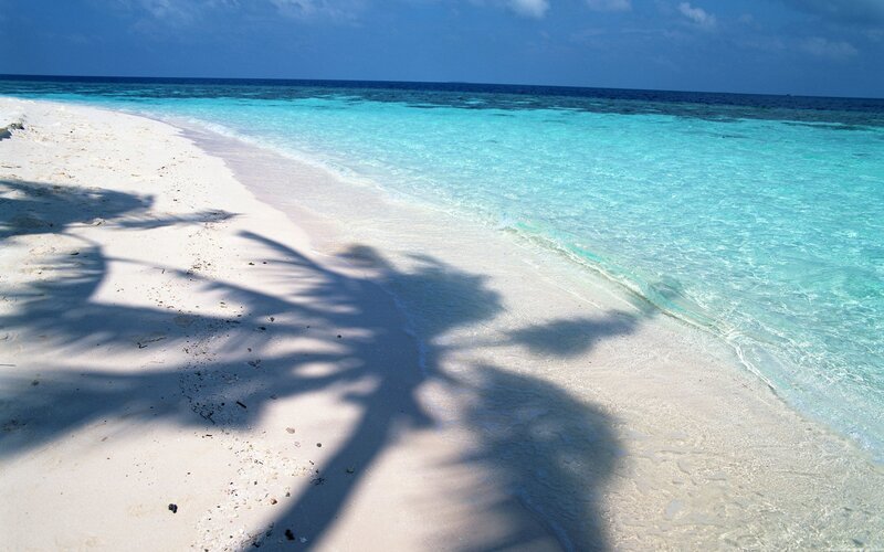tropical beach with palm shadow