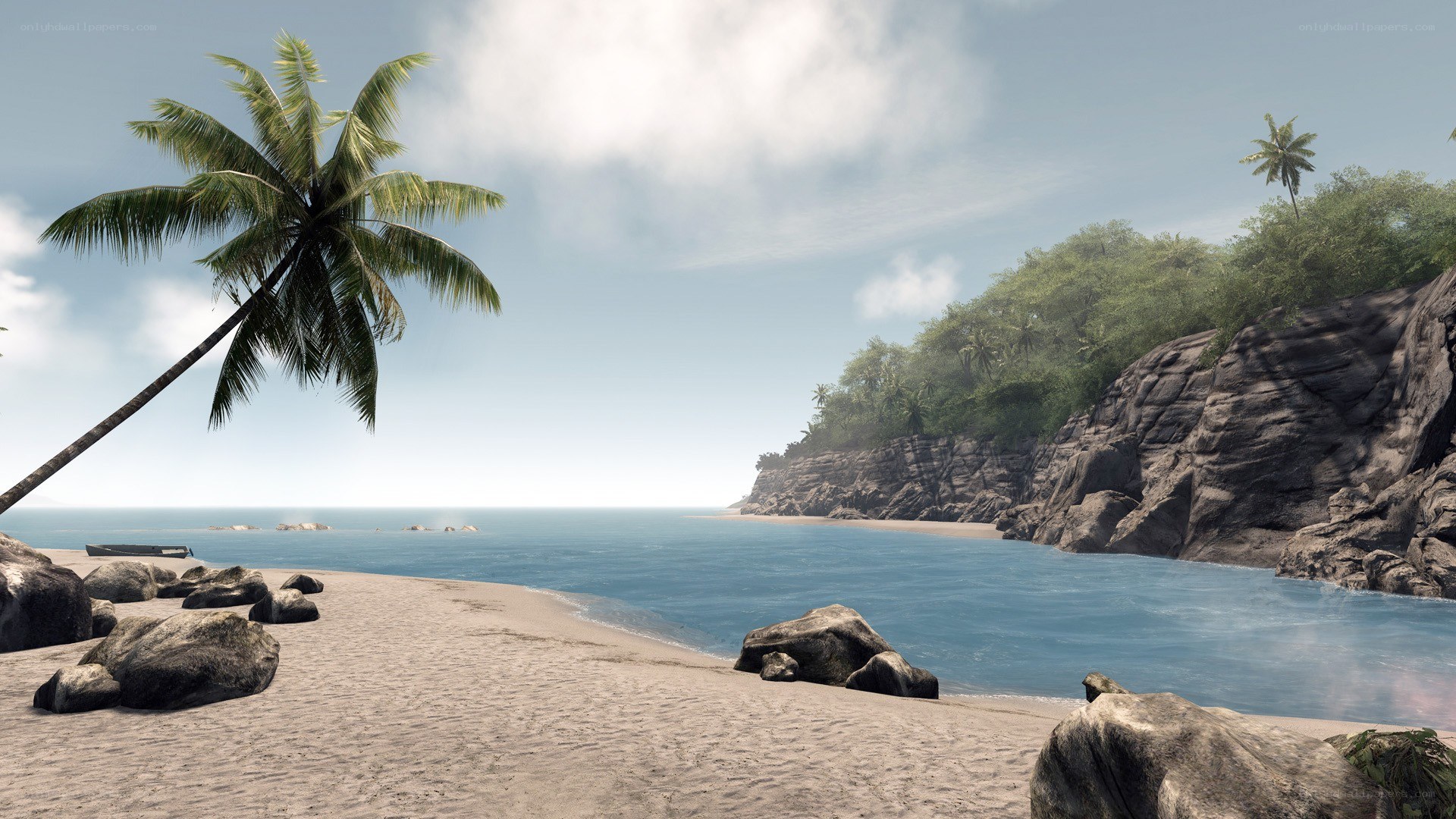 tropical beach with palm tree