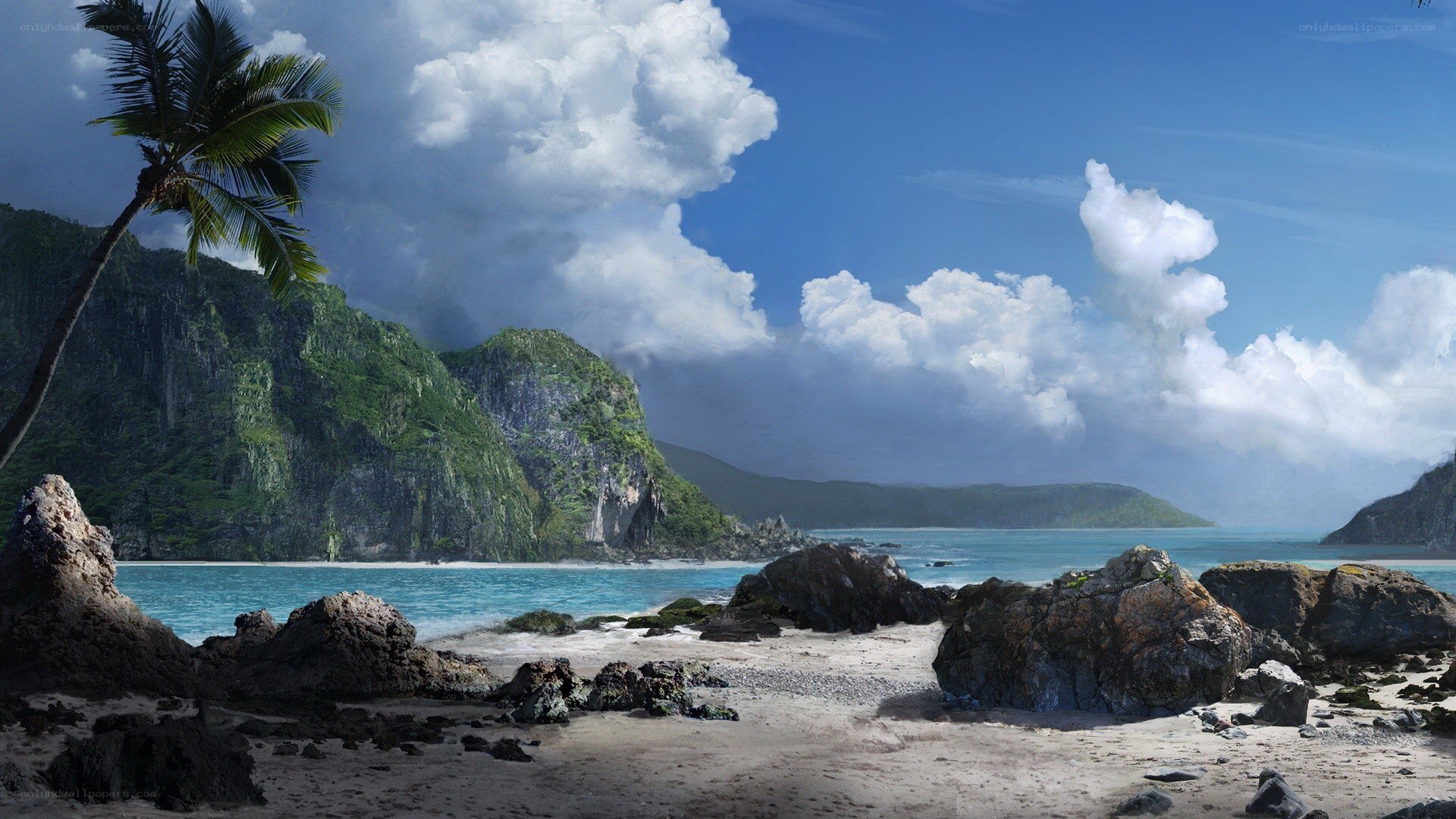 tropical beach with palm tree