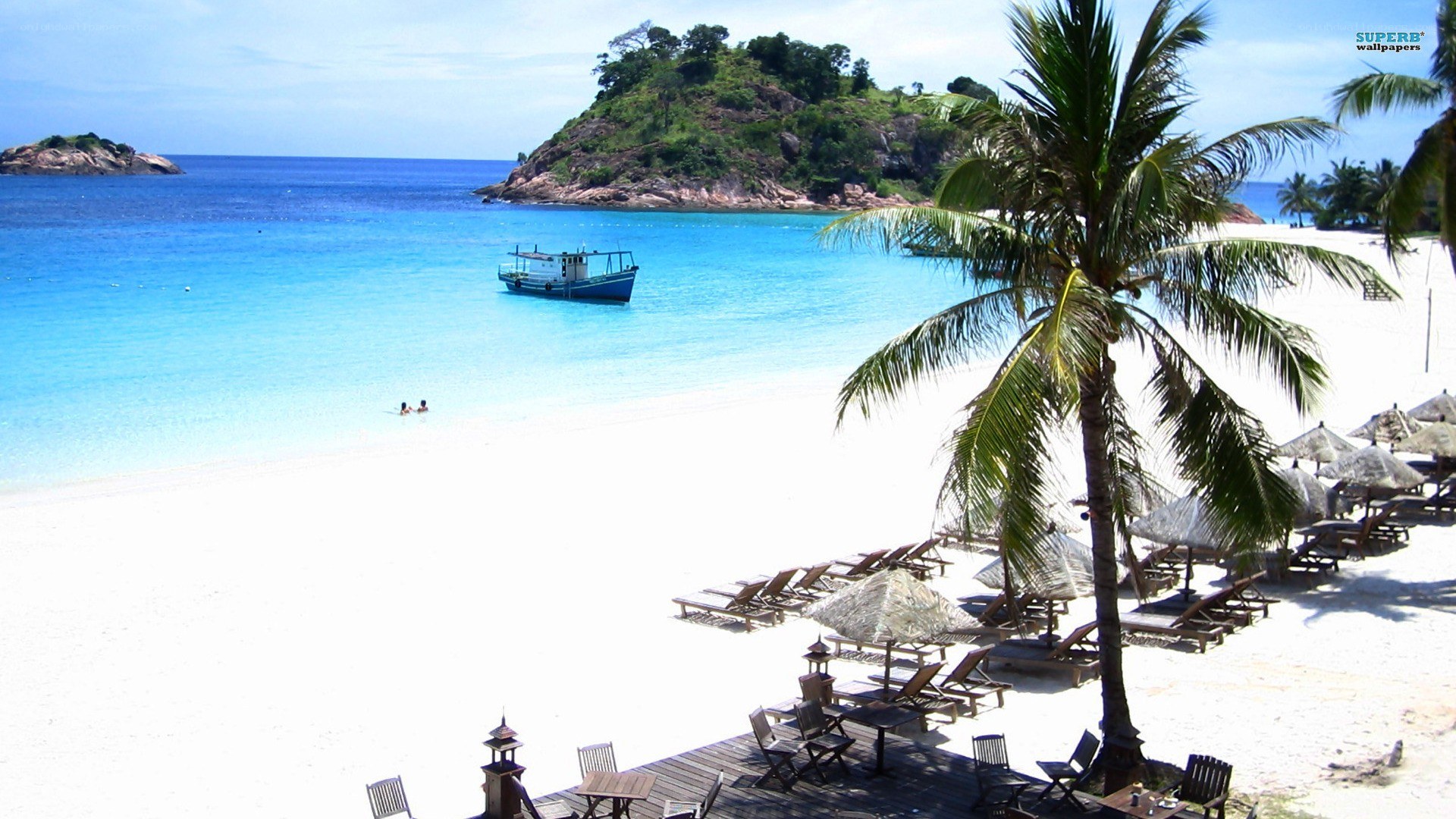 tropical beach with palm tree