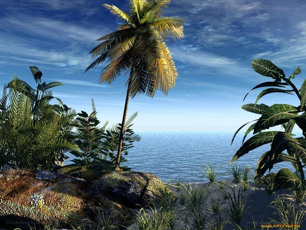 tropical beach with palm tree