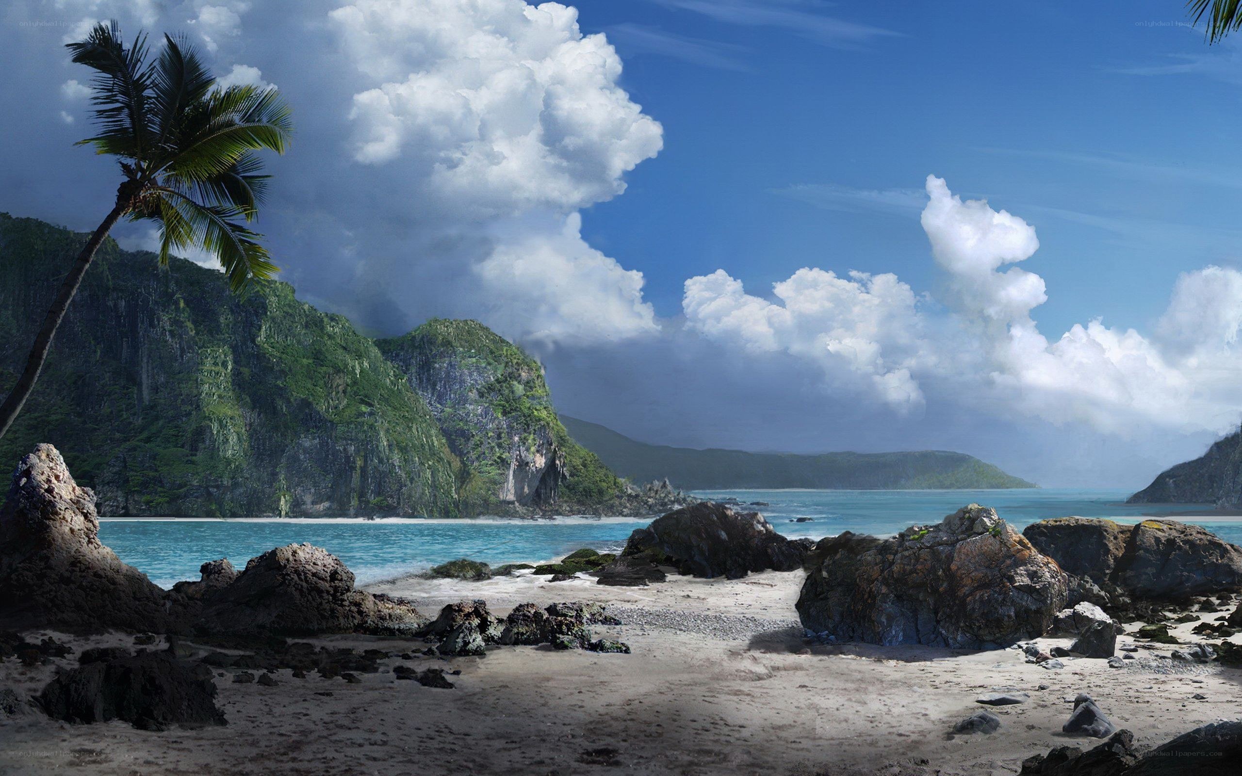 tropical beach with palm tree