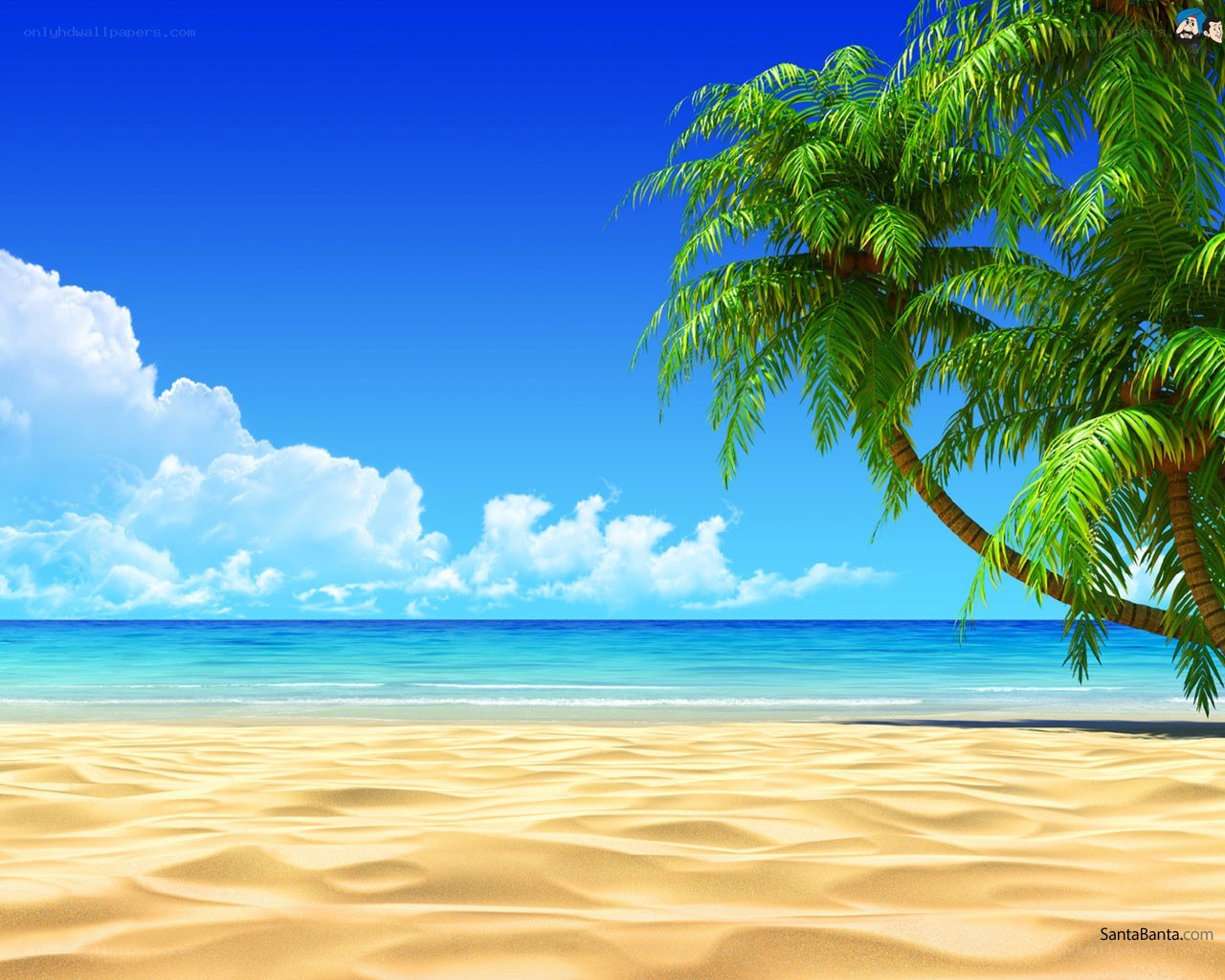 tropical beach with palm tree