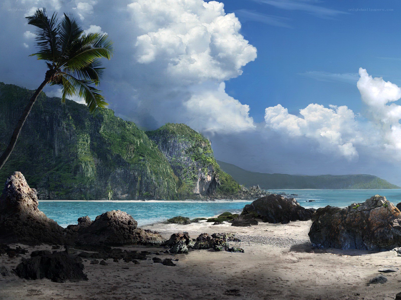 tropical beach with palm tree