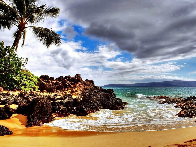 Tropical Beach with Palm Tree — Blue, Dramatic, Afternoon
