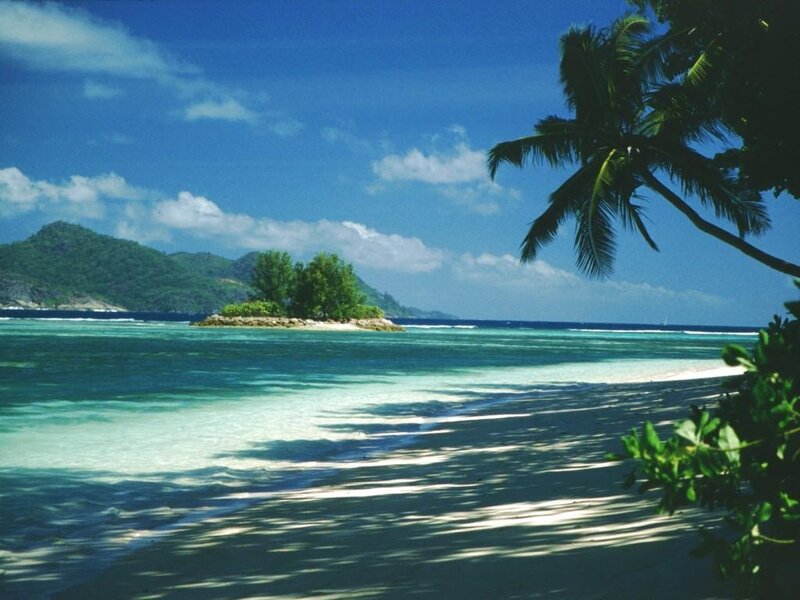 Tropical Beach with Palm Tree — Blue, Serene, Afternoon, Photograph, Palm Tree, Island