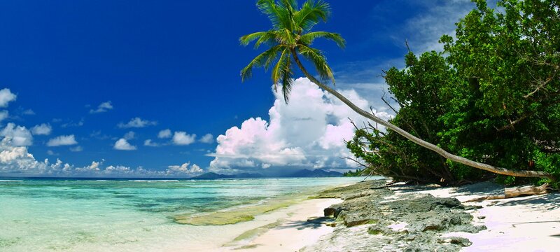 Tropical Beach with Palm Tree — Blue, Serene, Afternoon, Photograph, Palm Tree, Ocean, Clouds