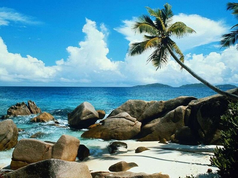 Tropical Beach with Palm Tree — Blue, Serene, Afternoon, Photograph, Palm Tree, Rocks, Ocean, Clouds