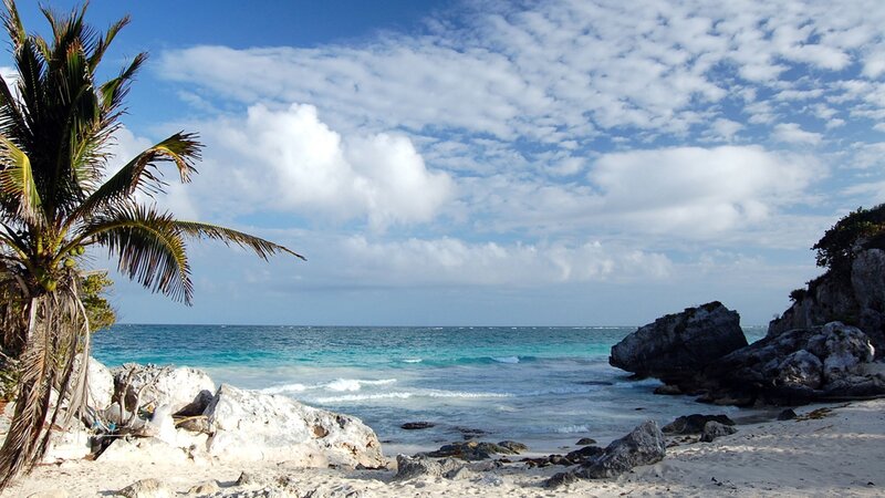Tropical Beach with Palm Tree — Blue, Serene, Afternoon, Photograph, Palm Tree, Rocks, Ocean