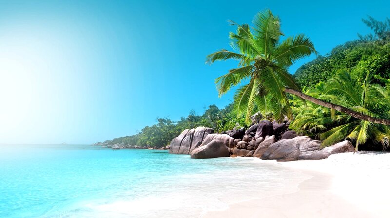 Tropical Beach with Palm Tree — Blue, Serene, Afternoon, Photograph, Palm Tree, Rocks