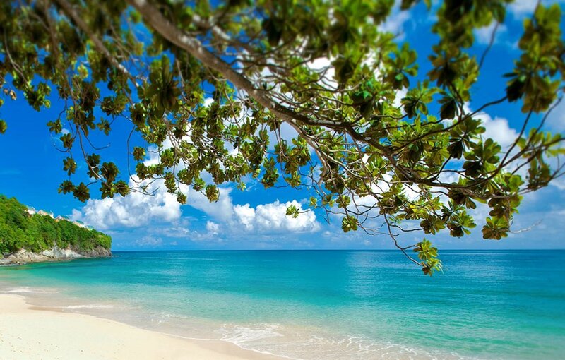 Tropical Beach with Palm Tree — Blue, Serene, Afternoon, Photograph, Palm Tree, Sand, Ocean