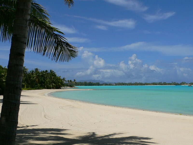 Tropical Beach with Palm Tree — Blue, Serene, Afternoon, Photograph, Palm Tree, Sand