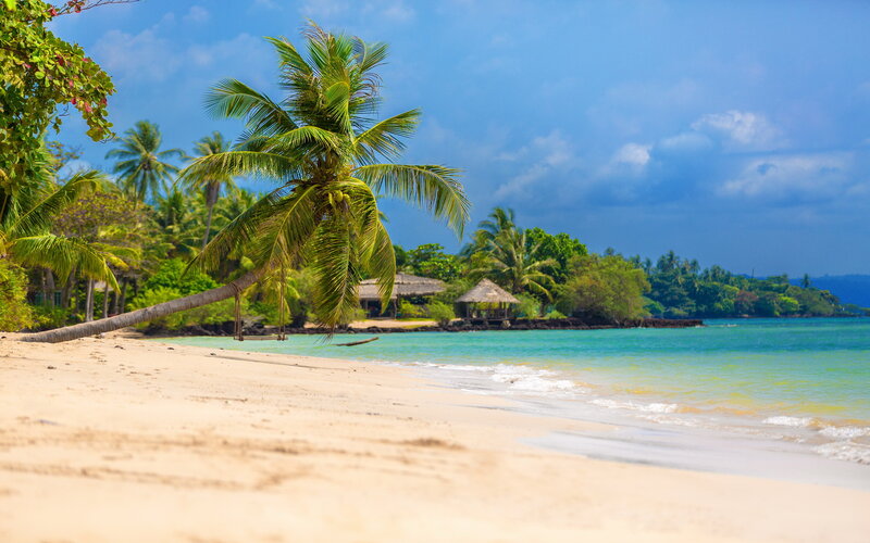 Tropical Beach with Palm Tree — Blue, Serene, Afternoon, Photograph, Palm Trees
