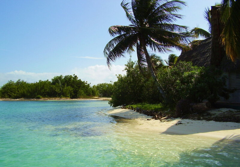 Tropical Beach with Palm Tree — Blue, Serene, Afternoon