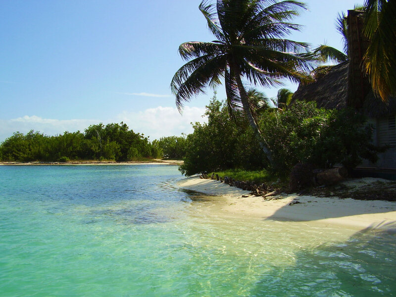 Tropical Beach with Palm Tree — Blue