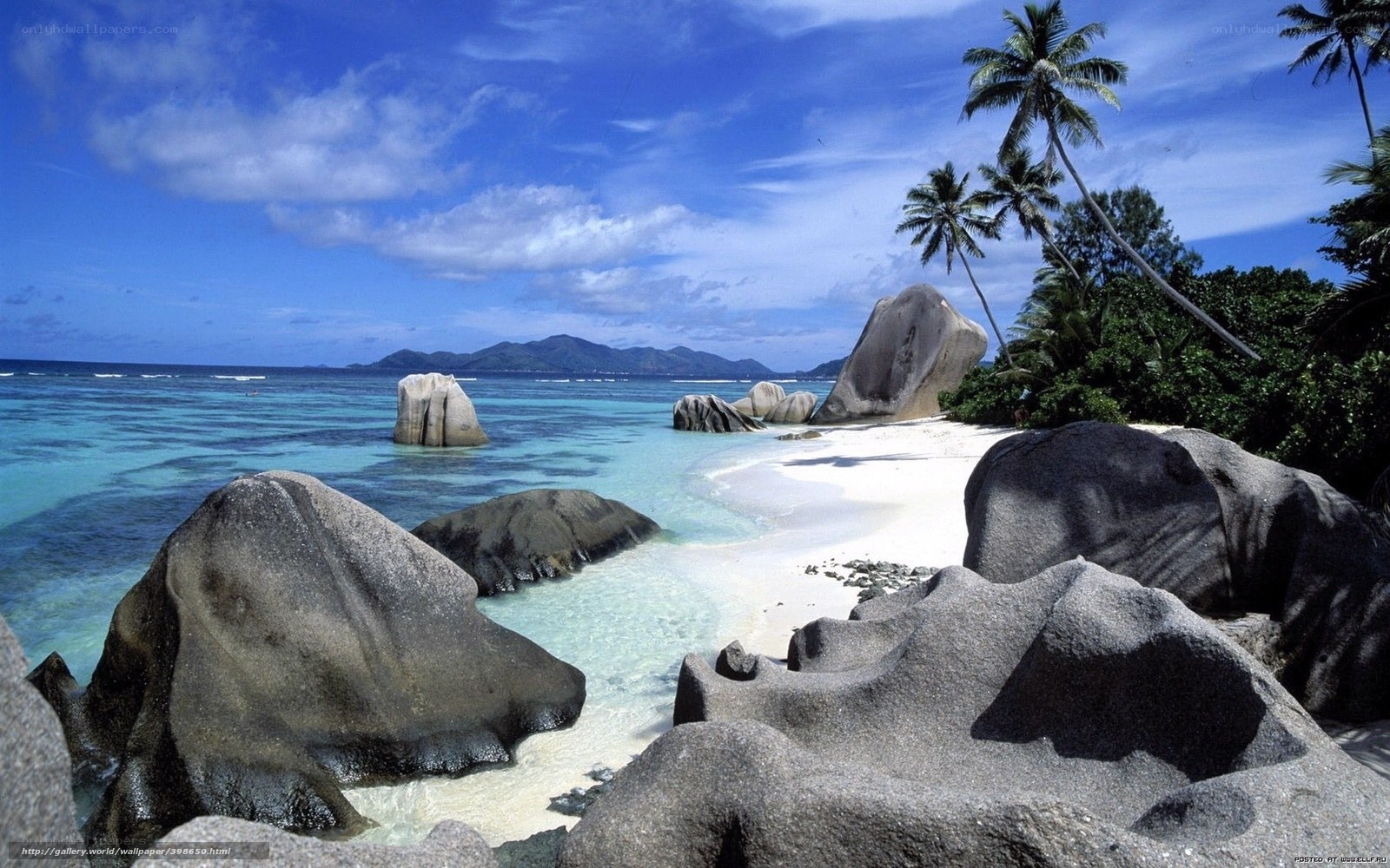 tropical beach with palm trees