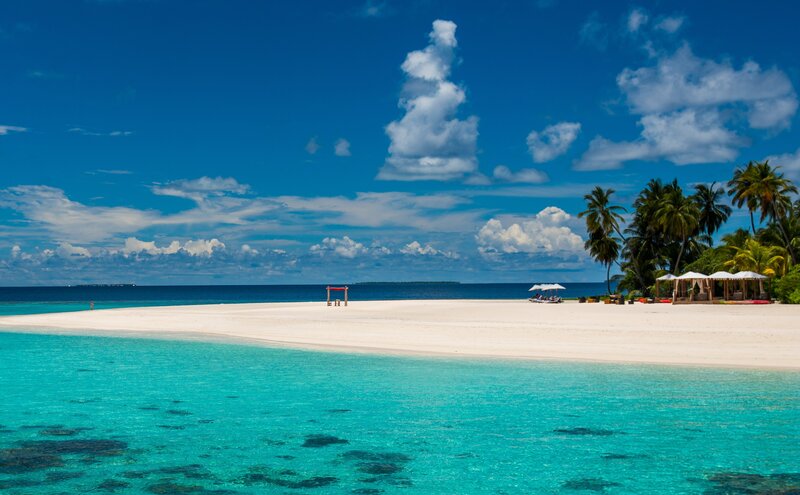 tropical beach with palm trees