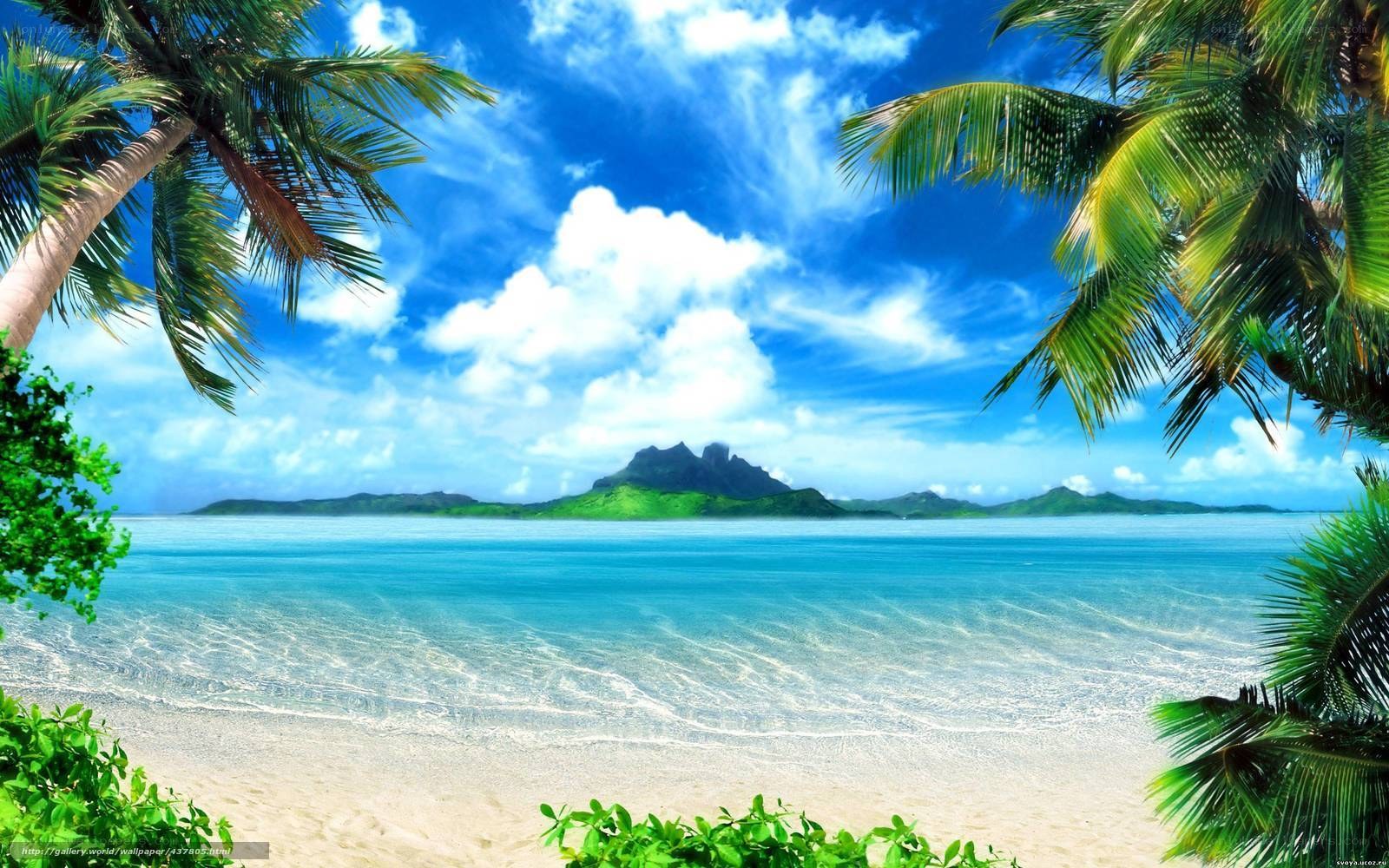 Tropical beach with palm trees