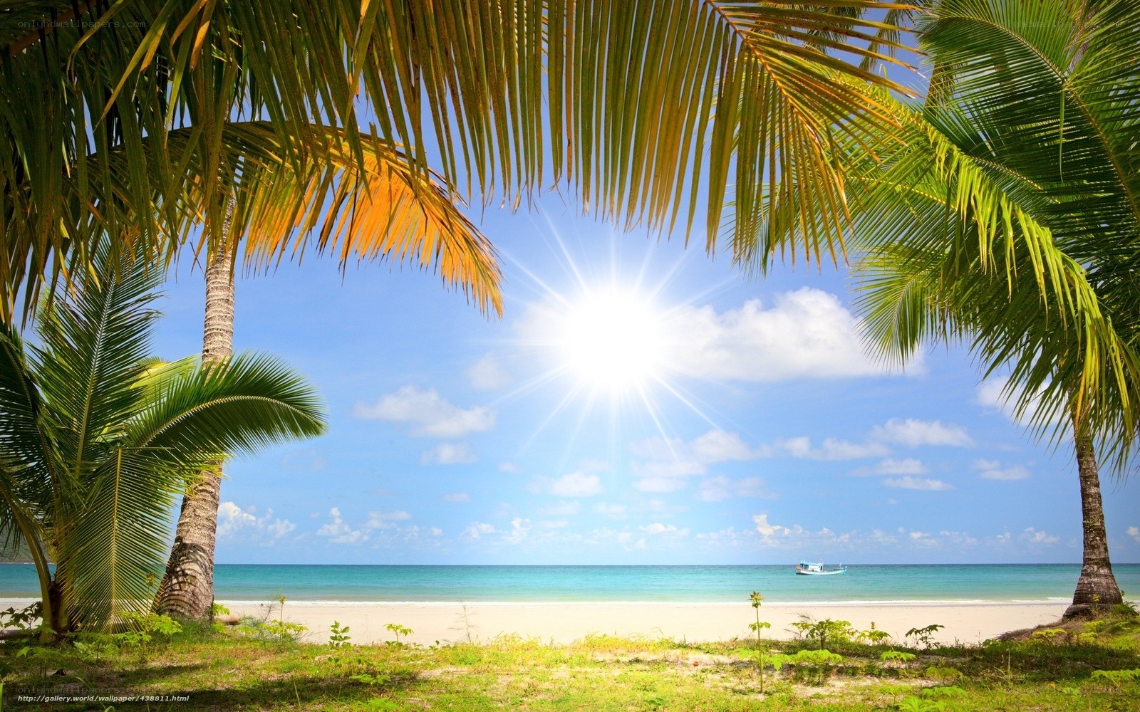 Tropical beach with palm trees