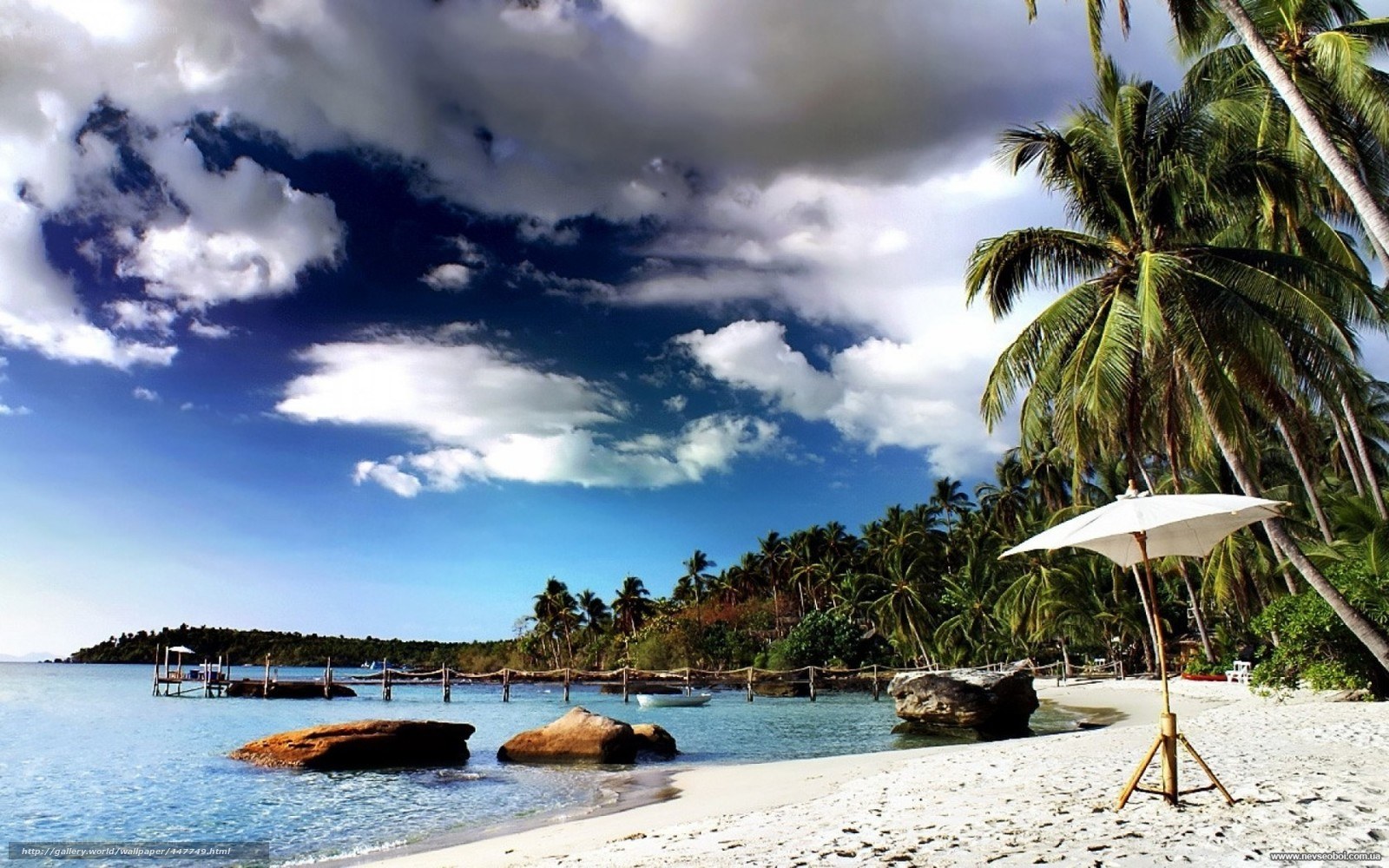 tropical beach with palm trees