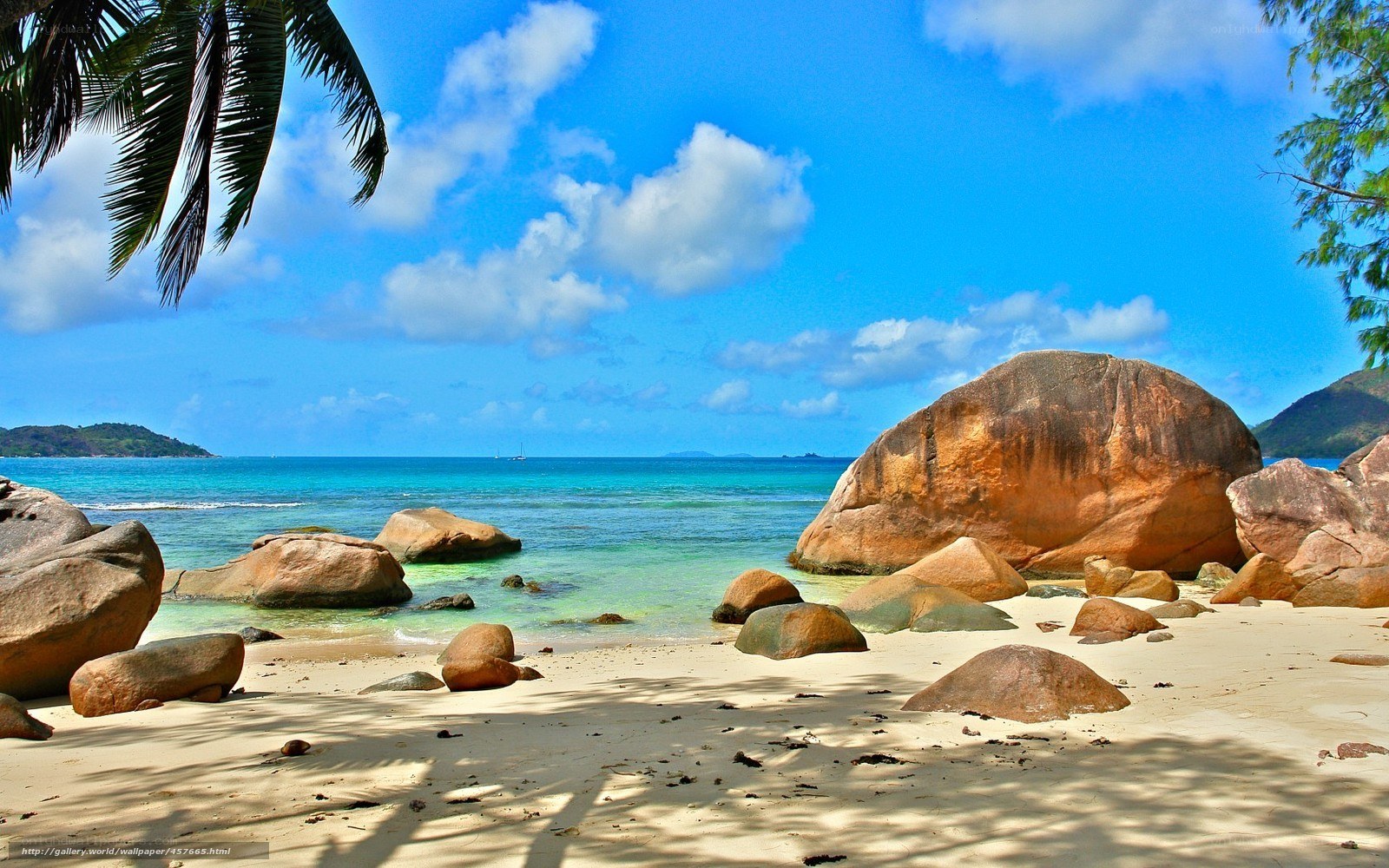 tropical beach with palm trees