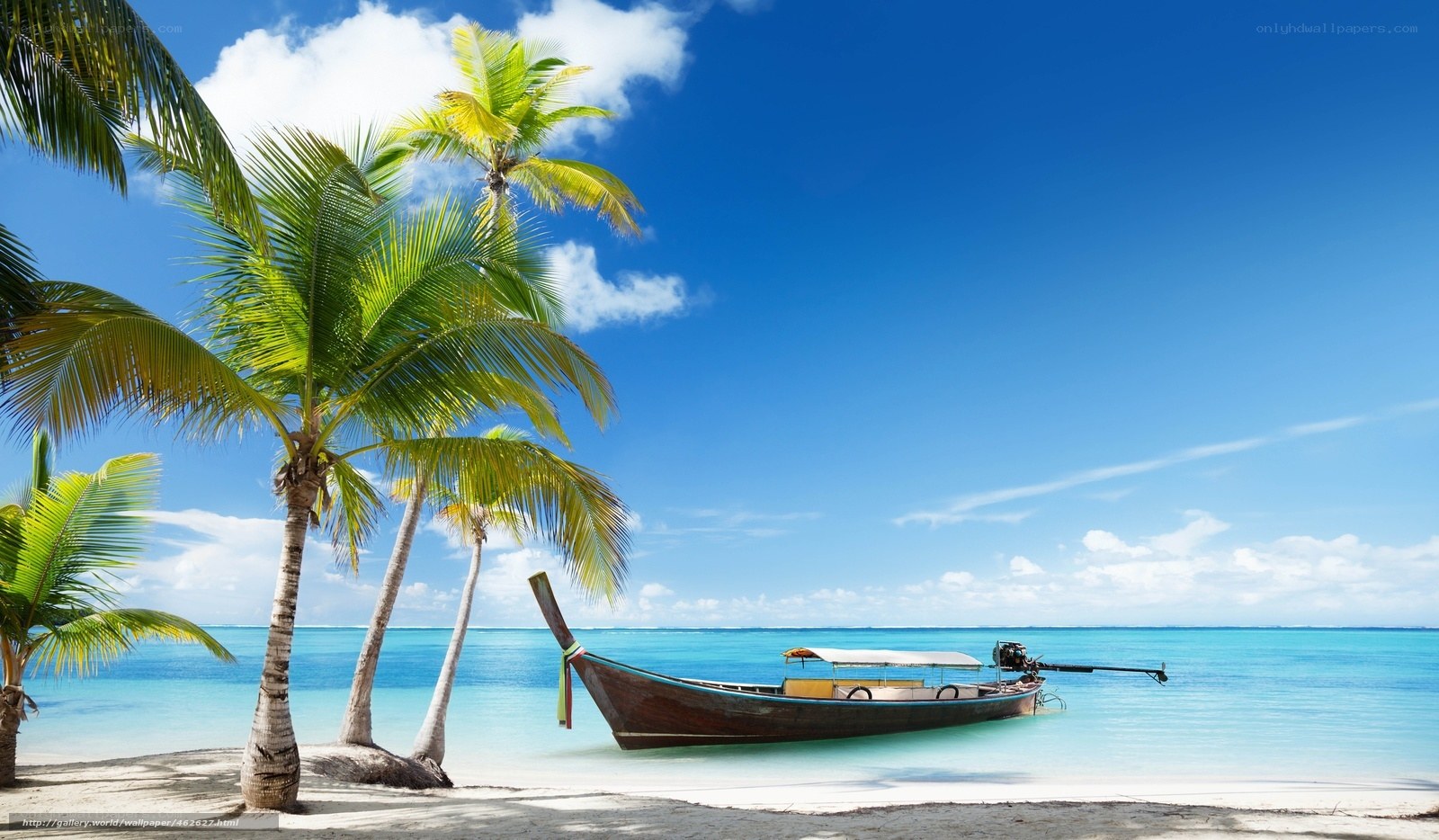 Tropical beach with palm trees