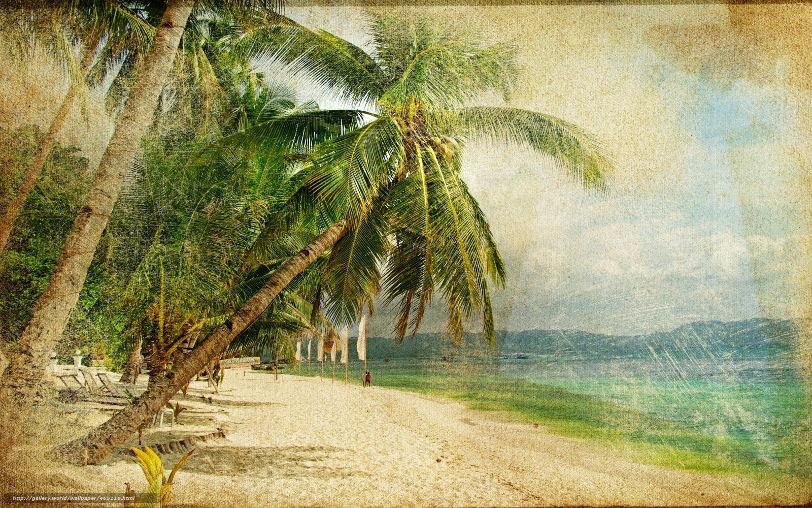tropical beach with palm trees