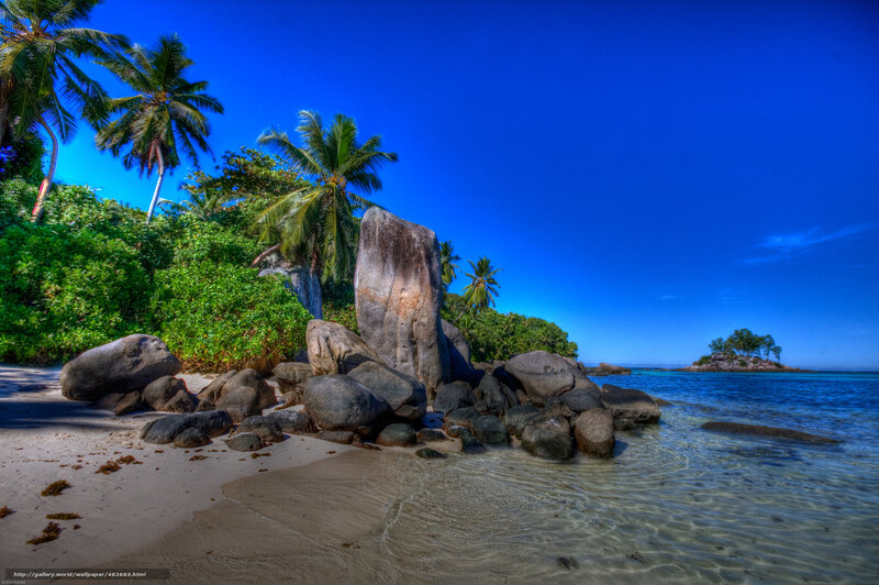 tropical beach with palm trees