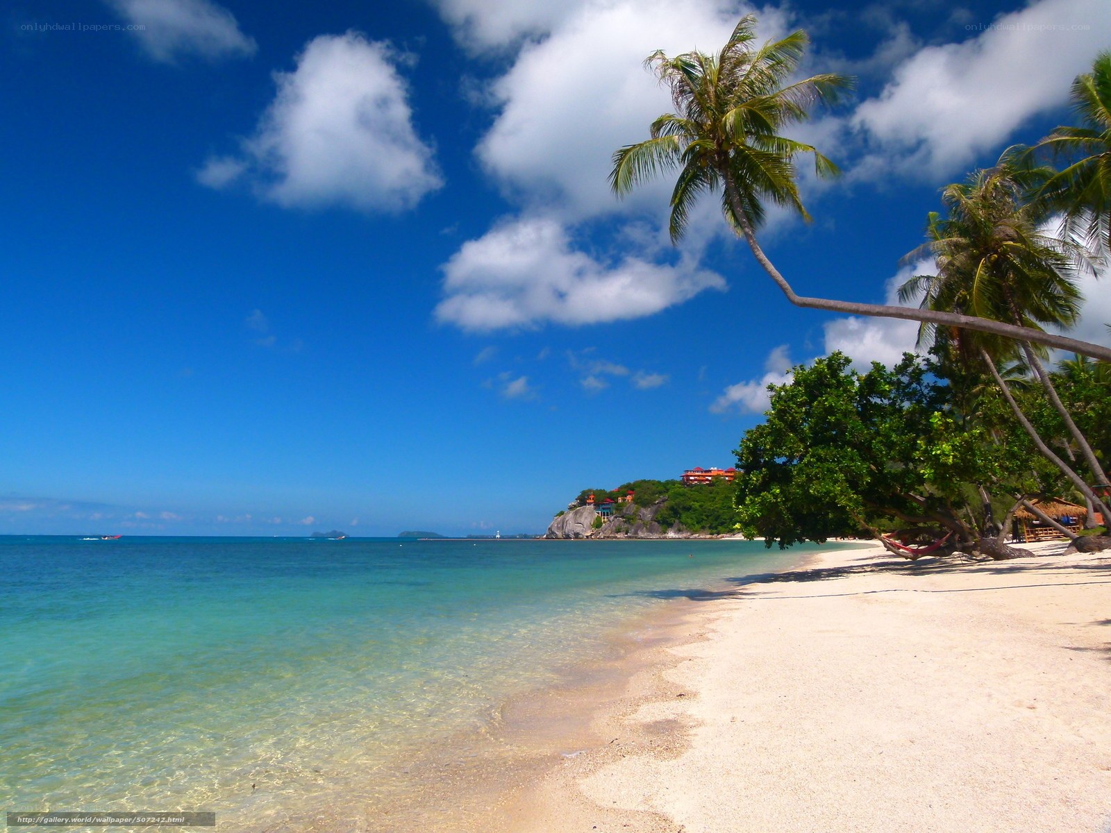 tropical beach with palm trees