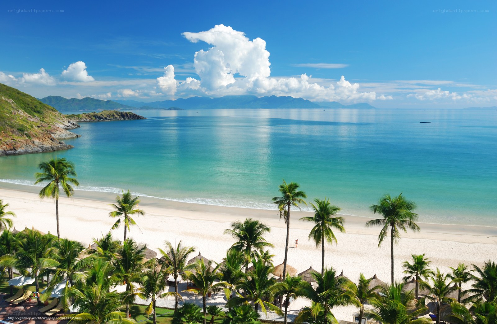 tropical beach with palm trees