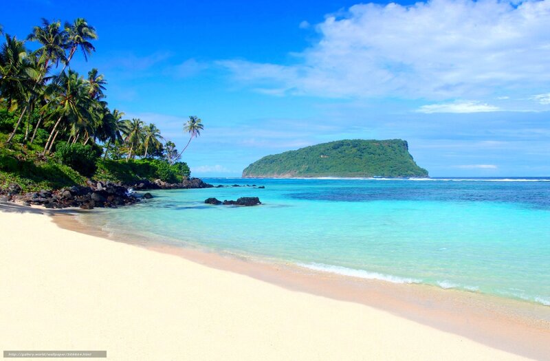 tropical beach with palm trees